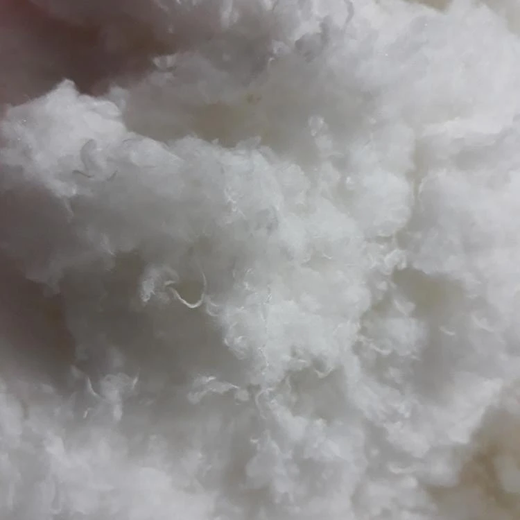 Полиэфирное штапельное волокно, HCS наполнение волокна качество во Вьетнаме-Мисс Мира-WhasApp/Wechat: 84363470573