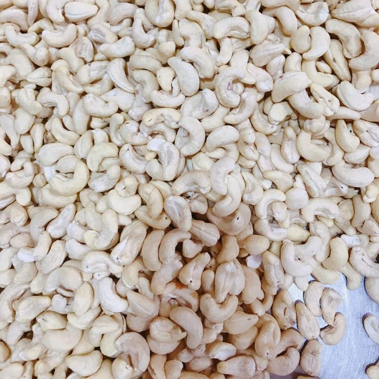 
VIETNAM CASHEW NUTS/ WHITE WHOLE KERNELS WW240 