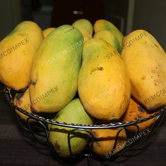 
Top Quality Mango Supplier From Pakistan 