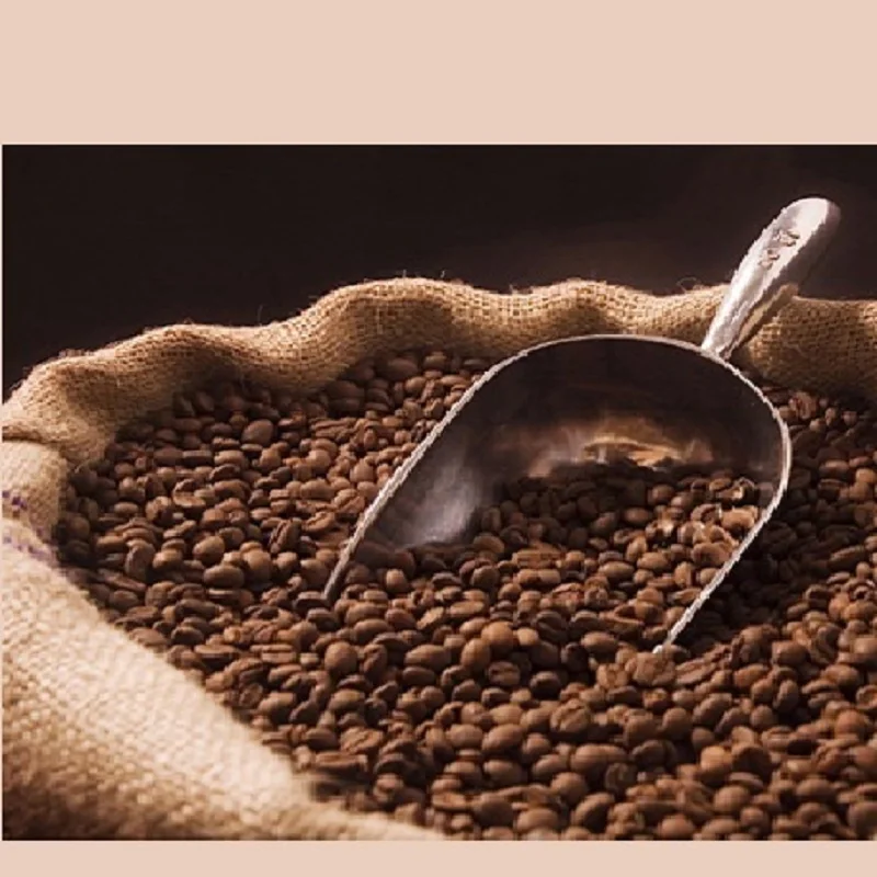
HIGH QUALITY ARABICA & ROBUSTA GREEN & ROASTED COFFEE BEANS FROM INDIA 
