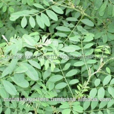 Indigo Powder Hair Dye - 100% Natural  -- Whatsapp: +91 73580 94554