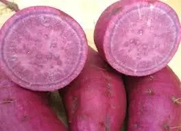 
New crop Japanese Purple Sweet Potato at good price from Viet Nam( Ms Aurora /WA +84 347172301) 