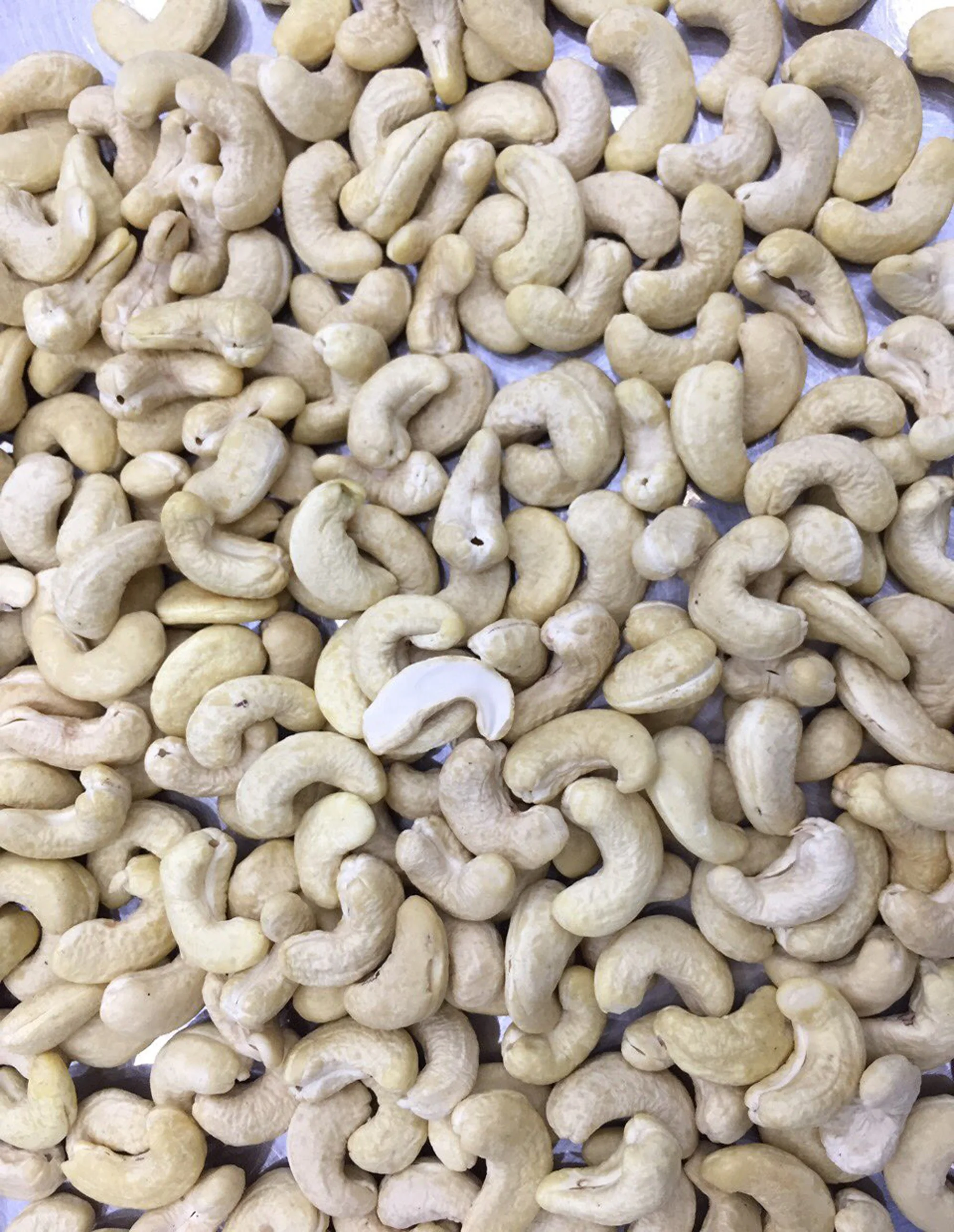 CASHEW NUT  GRADE WW 450, VIETNAM ORIGIN, HIGH QUALITY, BEST PRICE, CROP 2022-2023, USED FOR FOOD