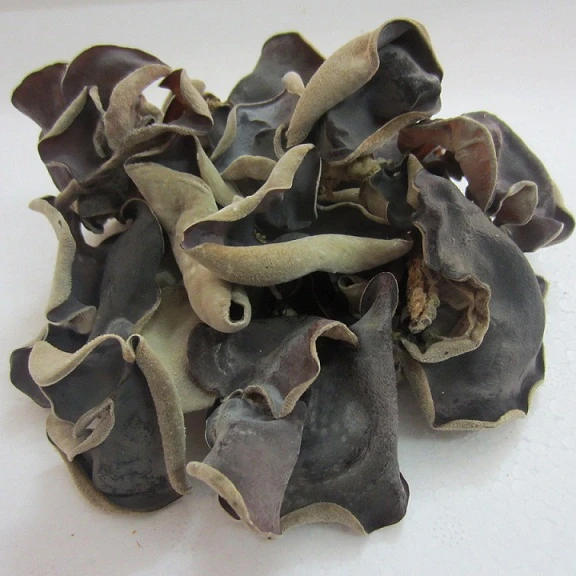Best price New dried black fungus food grade from VietNam/ whatsapp +84 845 639 639