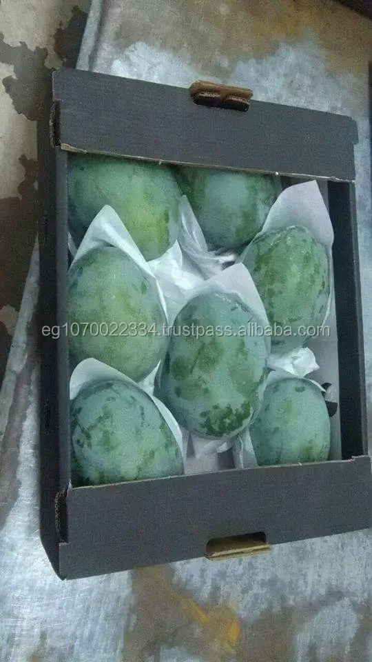 fresh mango fruit ready to export to Senegal