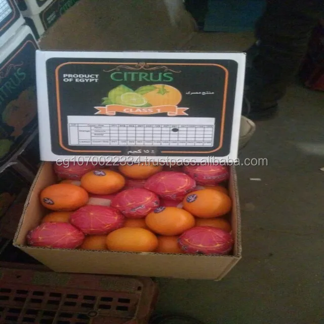 Fresh orange - Low Price - Finest quality - Egyptian origin