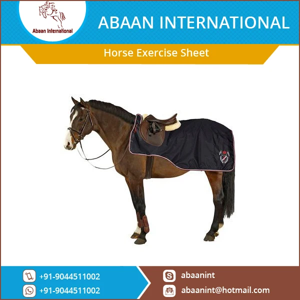 Best Selling Horse Exercise Sheet at Reasonable Rate