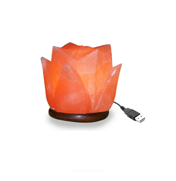 Elevate Your Ambiance with Rose-shaped Himalayan Pink Rock Salt Lamps from Sian Enterprises