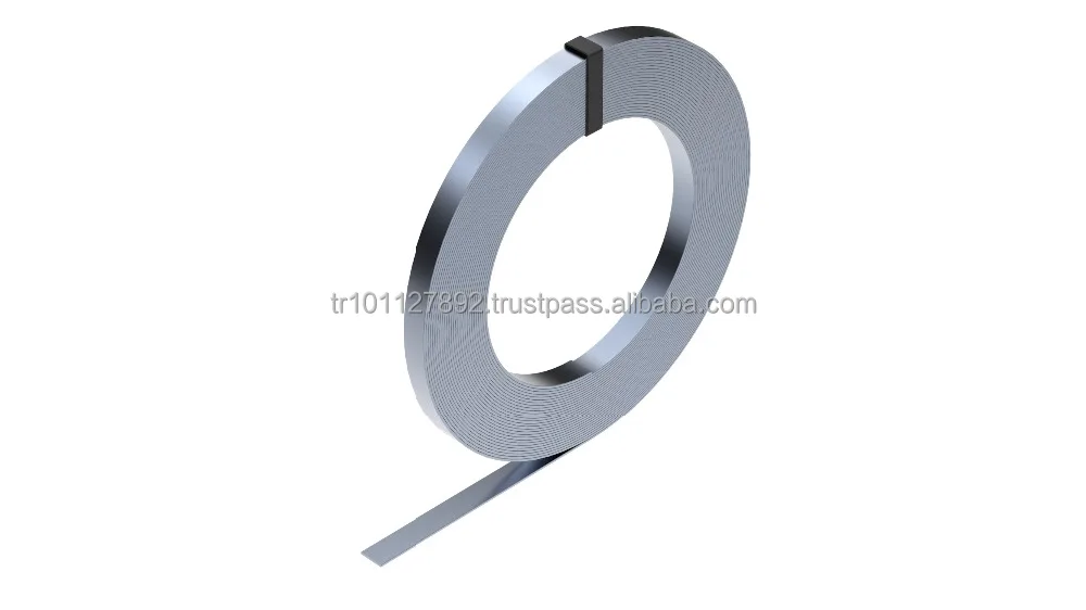 
Galvanized 30x3 mm Strip 