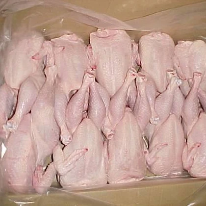 
HALAL CLEAN CHICKEN FEET / FROZEN CHICKEN PAWS BRAZIL 