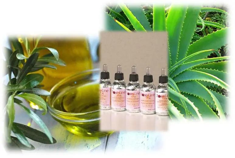 Best Pimples removal face Acne treatment cream anti-acne roseline4 cream anti acne for Oily skin cream Organic serum