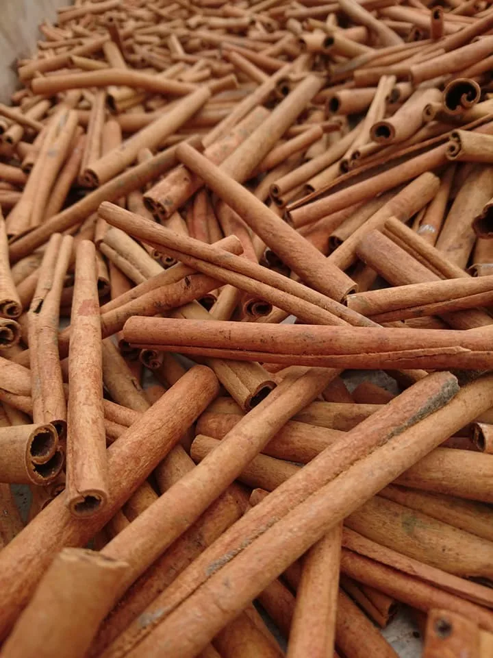 Вьетнамская Корица высшего качества сплит-Корица лидер продаж цена от поставщика палочки корицы 8 см ролл вверх-90%