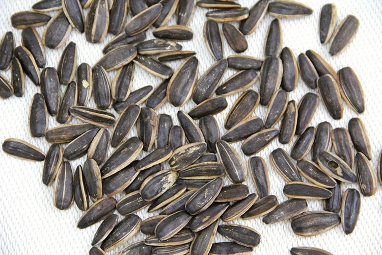 
Caramel Flavour Roatsed Sunflower Seeds In Shell 