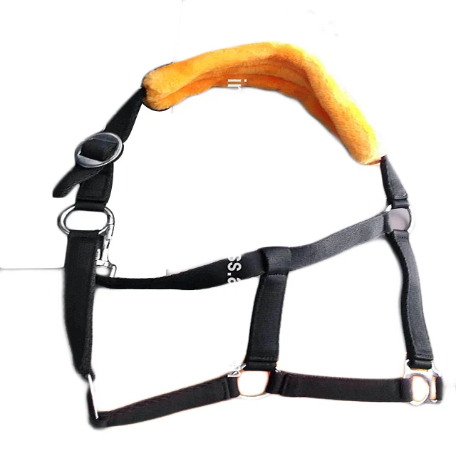 Fleece Padded PP halters IN;34648 full cob Shetland