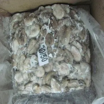 
BABY CUTTLEFISH WHOLE SIZE - 20/50,50/100,100/150 - READY STOCK 
