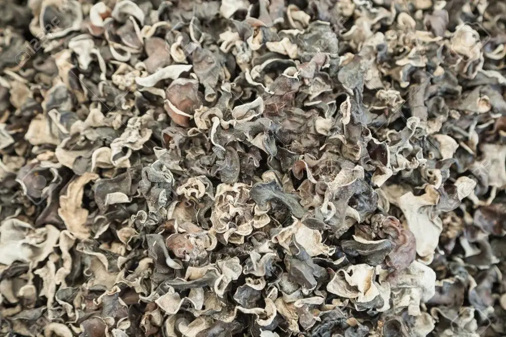 Best price New dried black fungus food grade from VietNam/ whatsapp +84 845 639 639