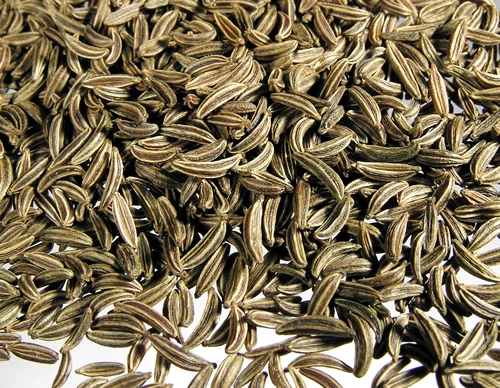 
Fennel seeds 