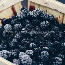 Grade a Fresh Strawberries, Raspberries, Elderberries, Cranberries, Blueberries, Blackberries, Blackcurrant,