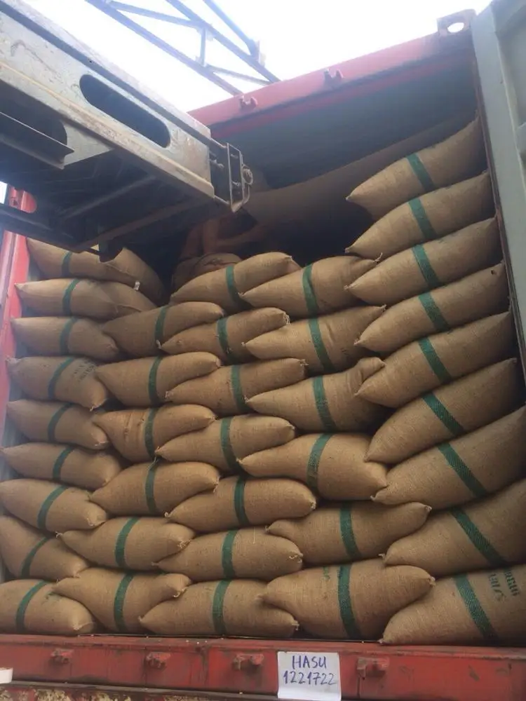  Кофейные Зеленые зерна 100% Robusta S13/S16/S18 0084974565715