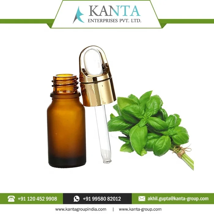 100% Pure And Natural Basil Oil / Basil Essential Oil help improve blood flow at Lower Price From India