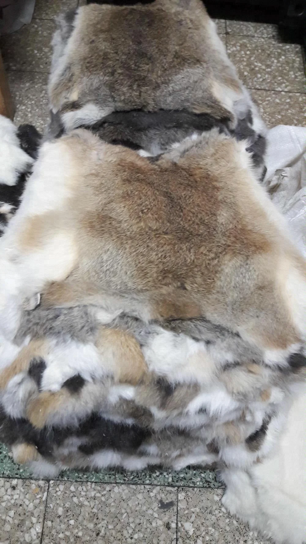 100 % Genuine Rabbit Fur Rabbit Skin Rabbit Pelt  For Sale