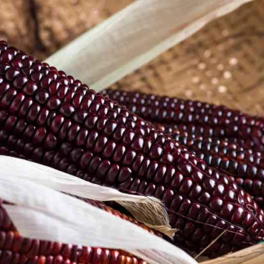 100% Pure Purple Corn Powder with No Added Chemicals And Preservatives