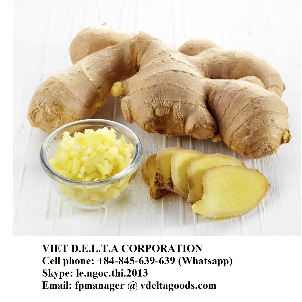 Viet Nam high quality frozen ginger/ cheap frozen ginger whatsapp +84 845 639 639
