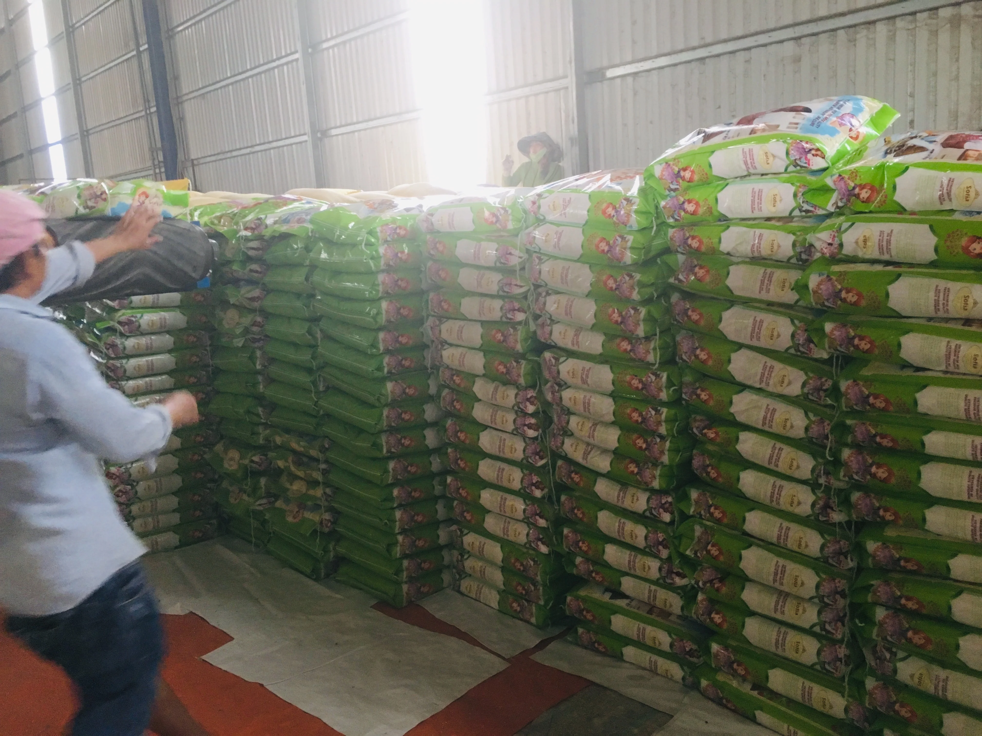 
HOT SALES !!! CHEAPEST VIETNAM FRAGRANT RICE, DAI THOM 8, HIGH QUALITY CELL: 84 901 390 588 /WHATSAPP 