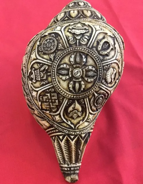 8 Lucky Auspicious Signs Carved Conch Shell