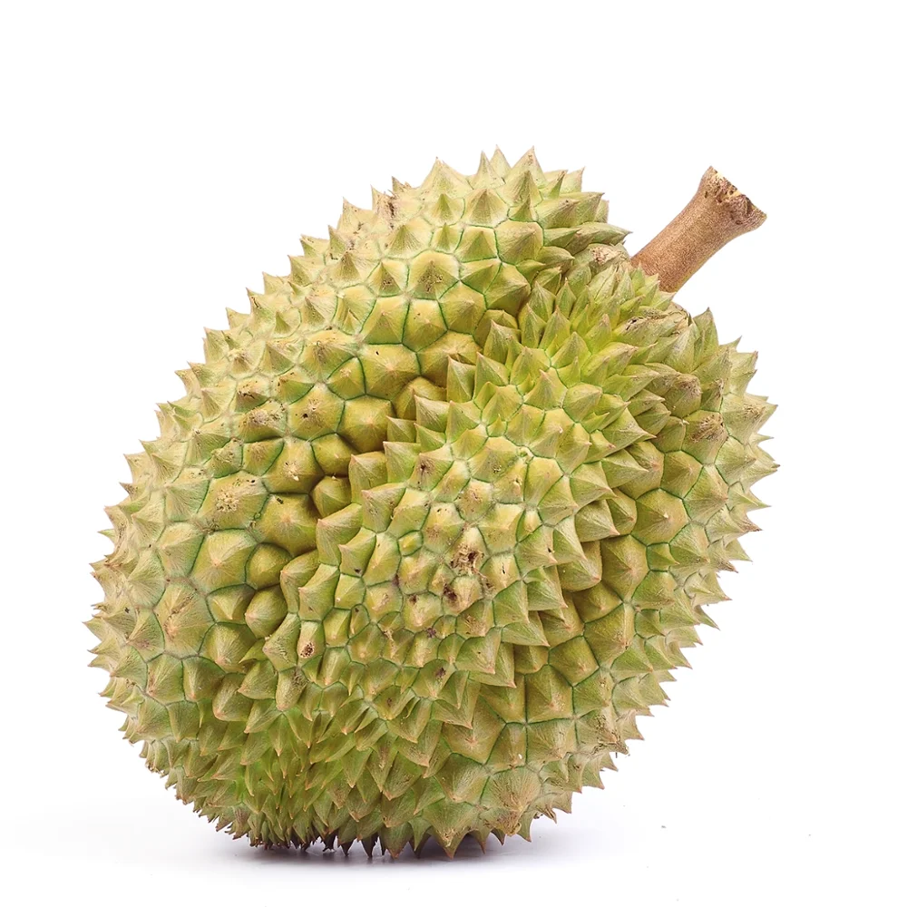 
HIGH QUALITY FRESH DURIAN FROM VIETNAM / Ms. Shyn Tran +84382089109 