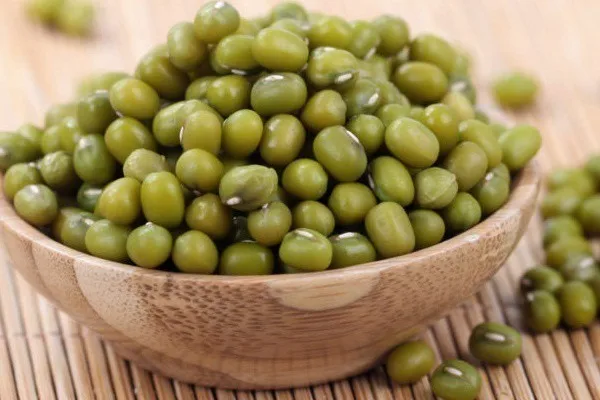 Vigna radiata-Эфиопия Mung Bean зеленый во Вьетнаме