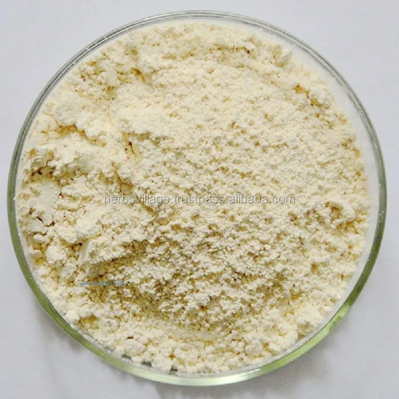 GMP ISO certified manufacturer Aloe Vera Extract Powder 100x Best Price India