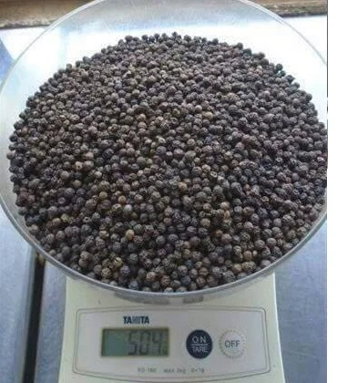 Hot Selling Factory Supply Natural Peppercorn Black Pepper Spice Wholesale Price