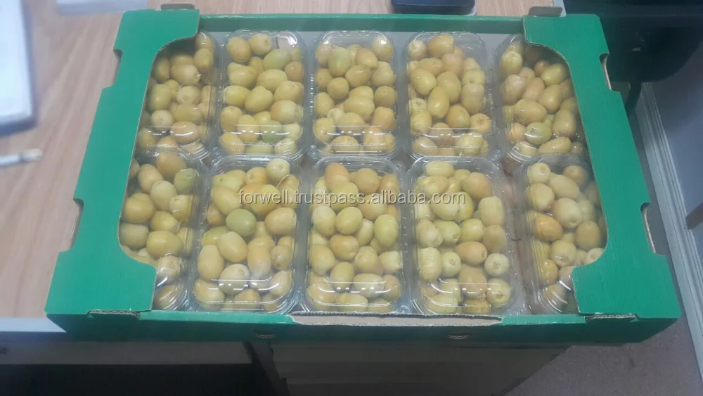 
fresh barhi dates // Egyptian brahi dates supplier 