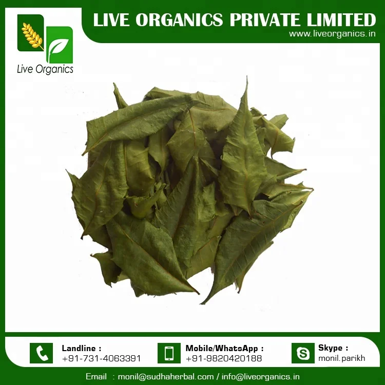 Organic Neem Leaf at Affordable Price