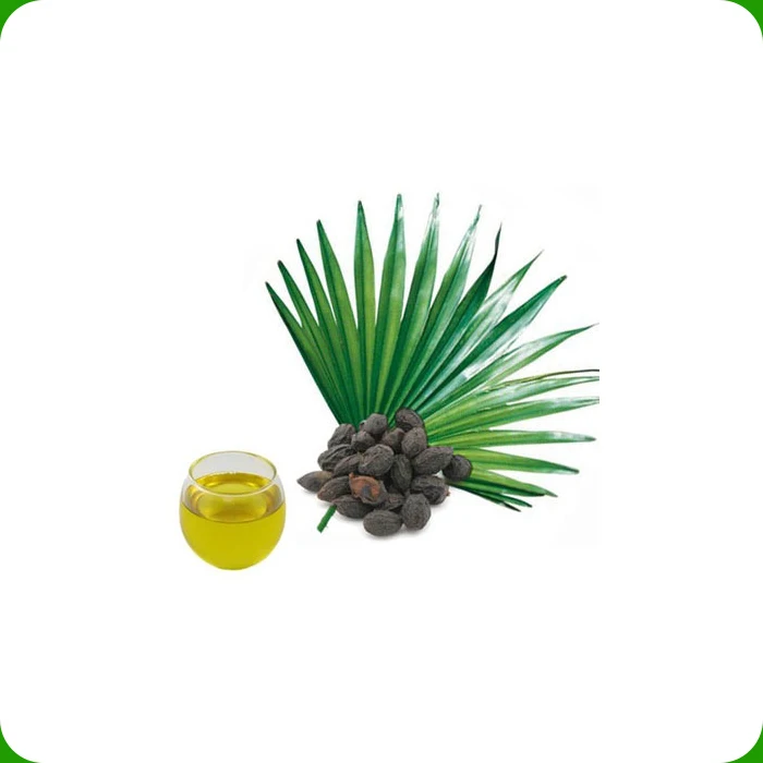 Органическое Масло Пальметто