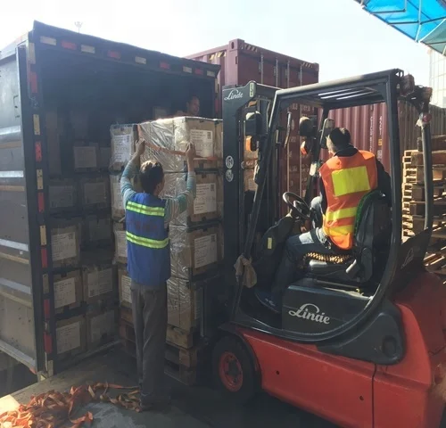 Freight Forwarder DDP sea shipping Guangzhou to Manila Philippines Malaysia door to door service