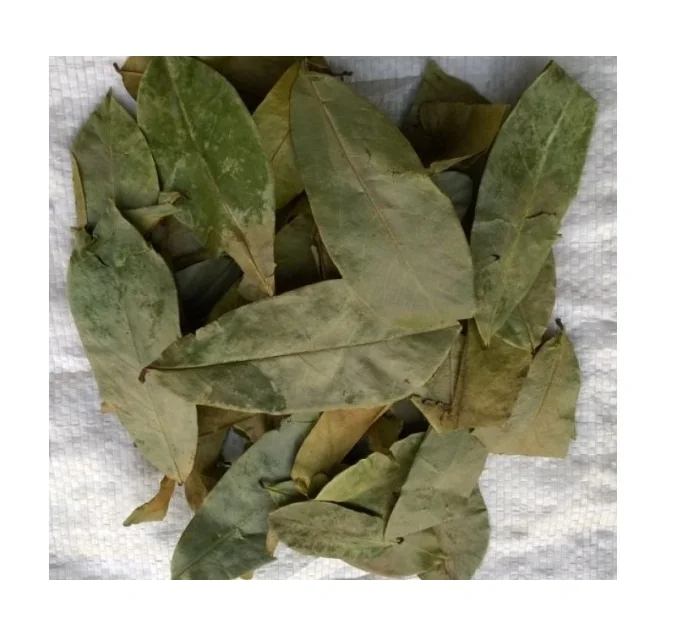 
Dried Soursop Leaves / Graviola Leaf - Organic Herb - Product of Vietnam 
