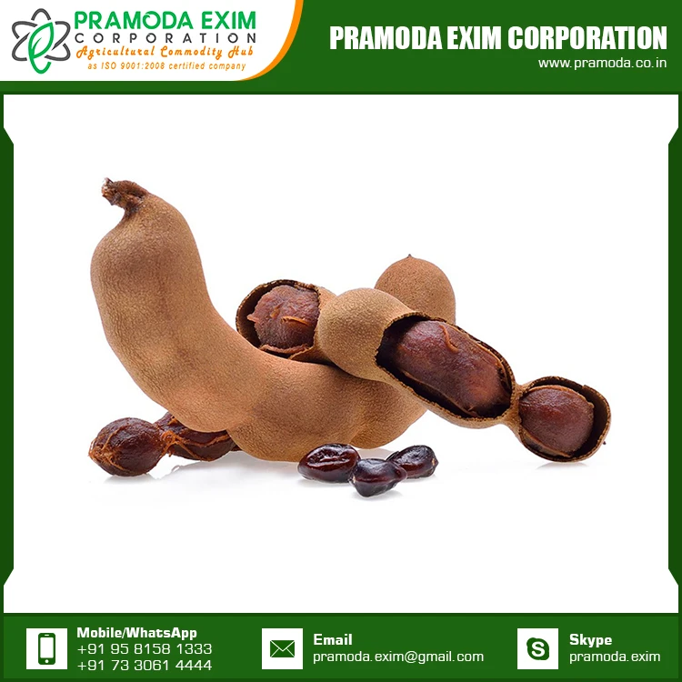 New Crop Organic Tamarind Fresh