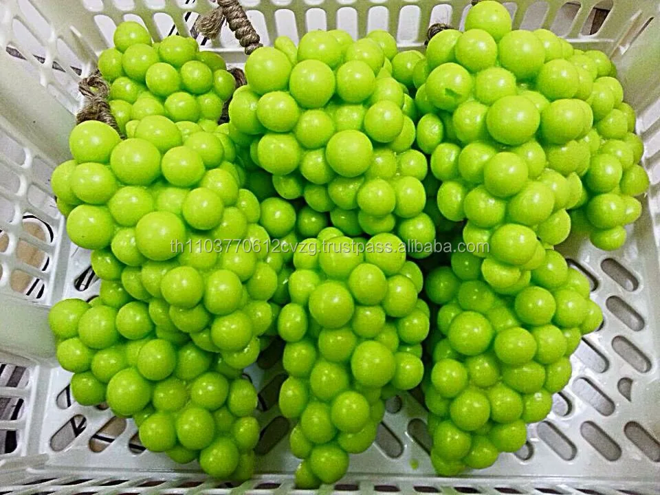  Тайская ароматерапия фруктовое мыло высокого качества для экспортной продукции