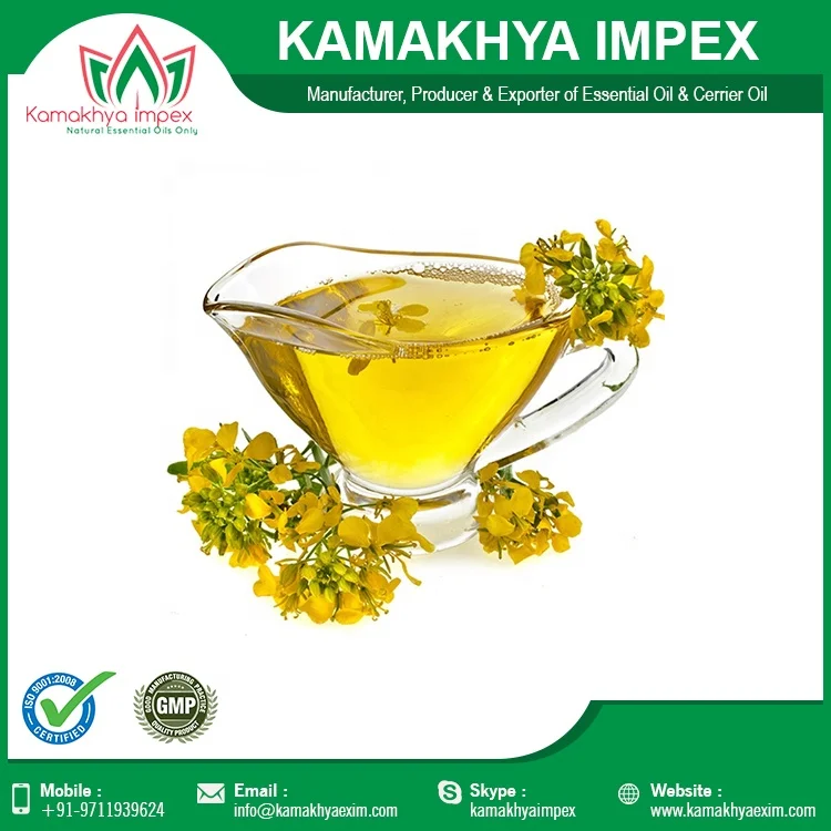 Pure Apricot Kernel Oil Certified Quality of Apricot kernel Oil Cold press from India Pure Apricot kernel Oil Cold press