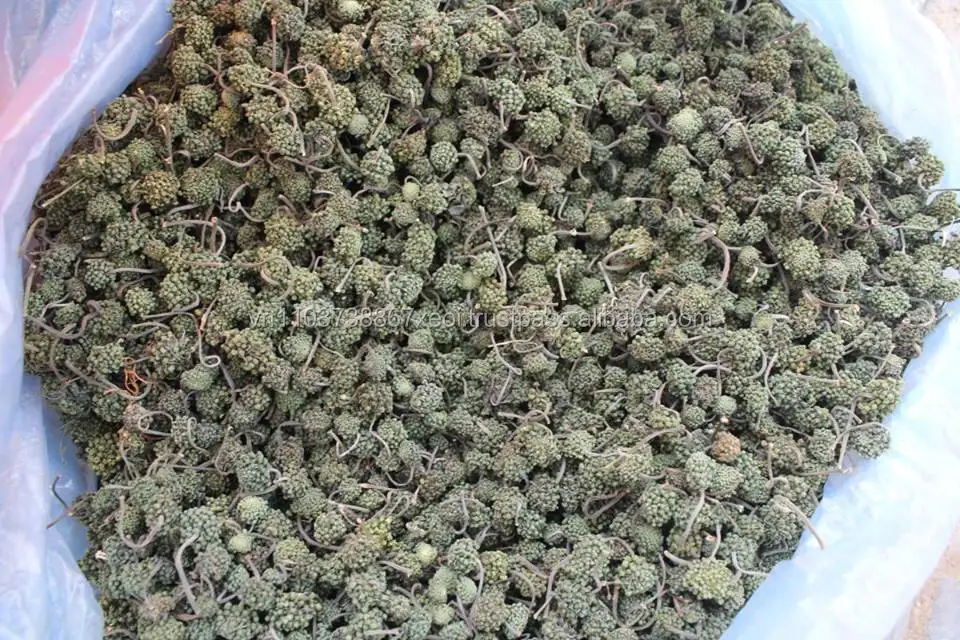 Panax Ginseng Flower/ Panax pseudoginseng Nees