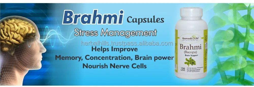 
Ayurvedic Life Brahmi / Bacopa capsule, 300 mg 120 capsule for brain function and hair growth. 