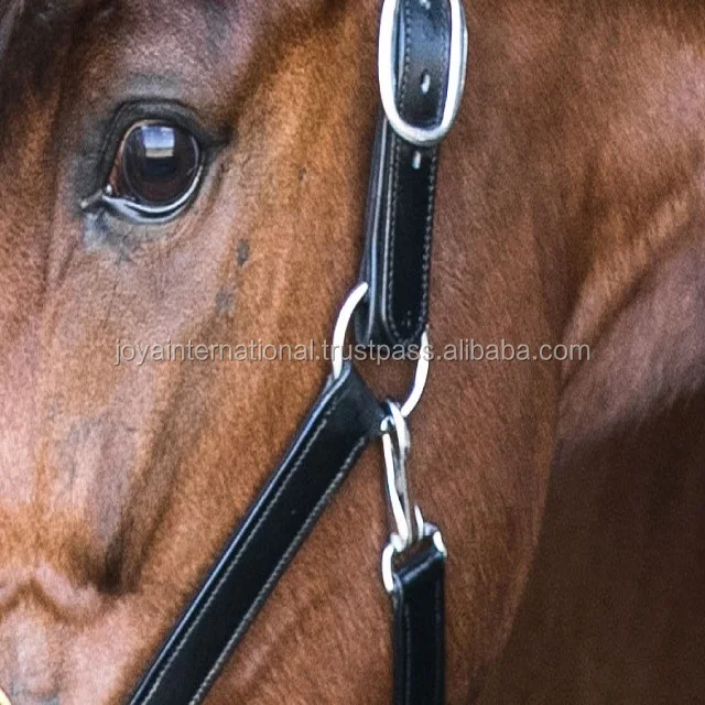 Deluxe Padded Break Away Leather Horse Halter, Horse leather halter Sweden style