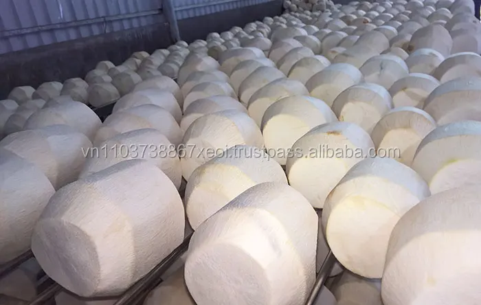 fresh coconut export/coconut water extracting/vietnam fresh coconut in 2020