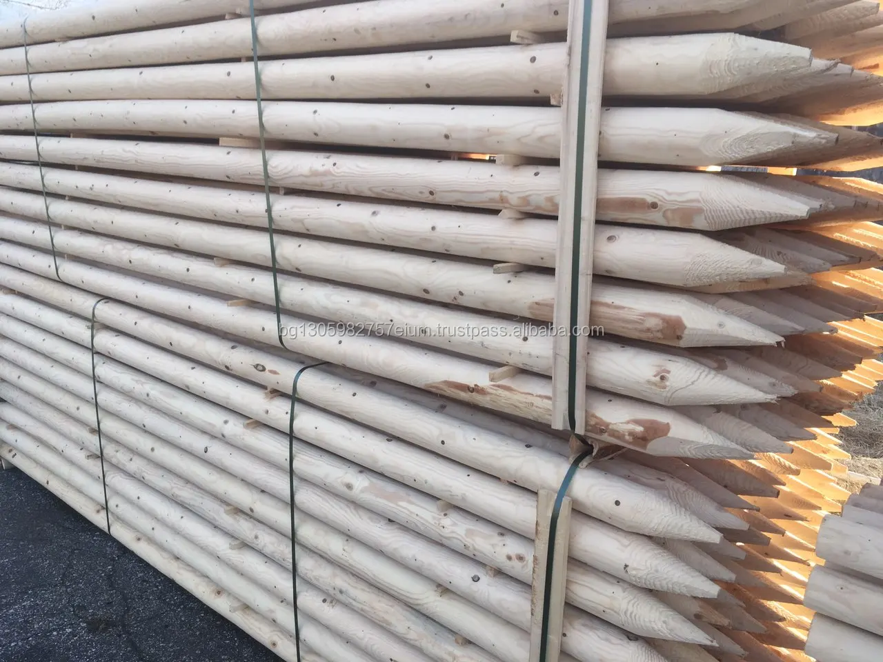 Sharp Point Pine wood Poles coniferous, lathed and impregnated by high pressure vacuum