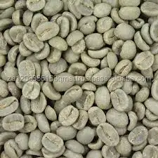 
Hot Selling Arabica Green Coffee Beans 