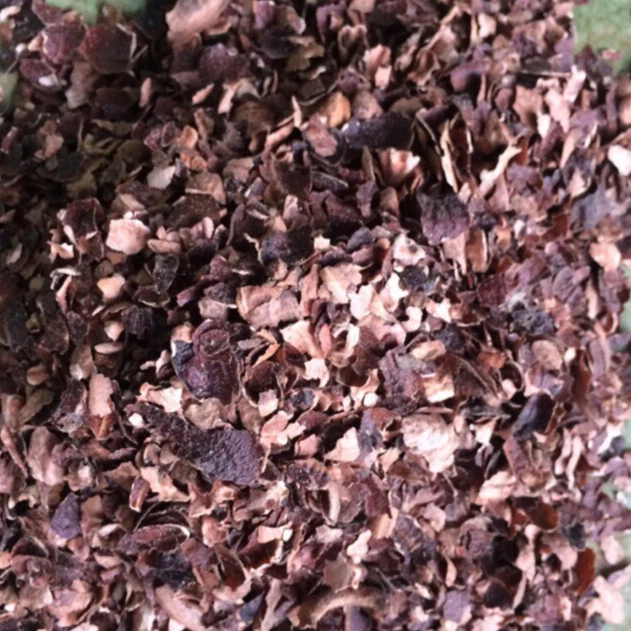 Cashew husk/ cashew in Vietnam