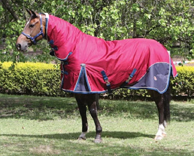 2020 New Style Winter Waterproof Nylon Turnout Horse Rug Blanket