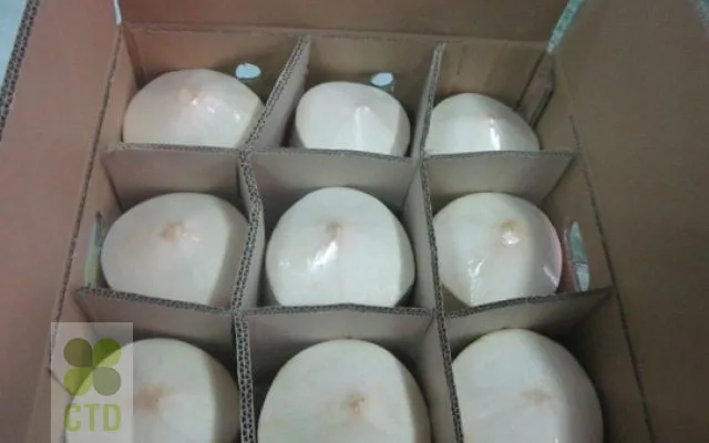 
FRESH GREEN COCONUT_VIETNAM 